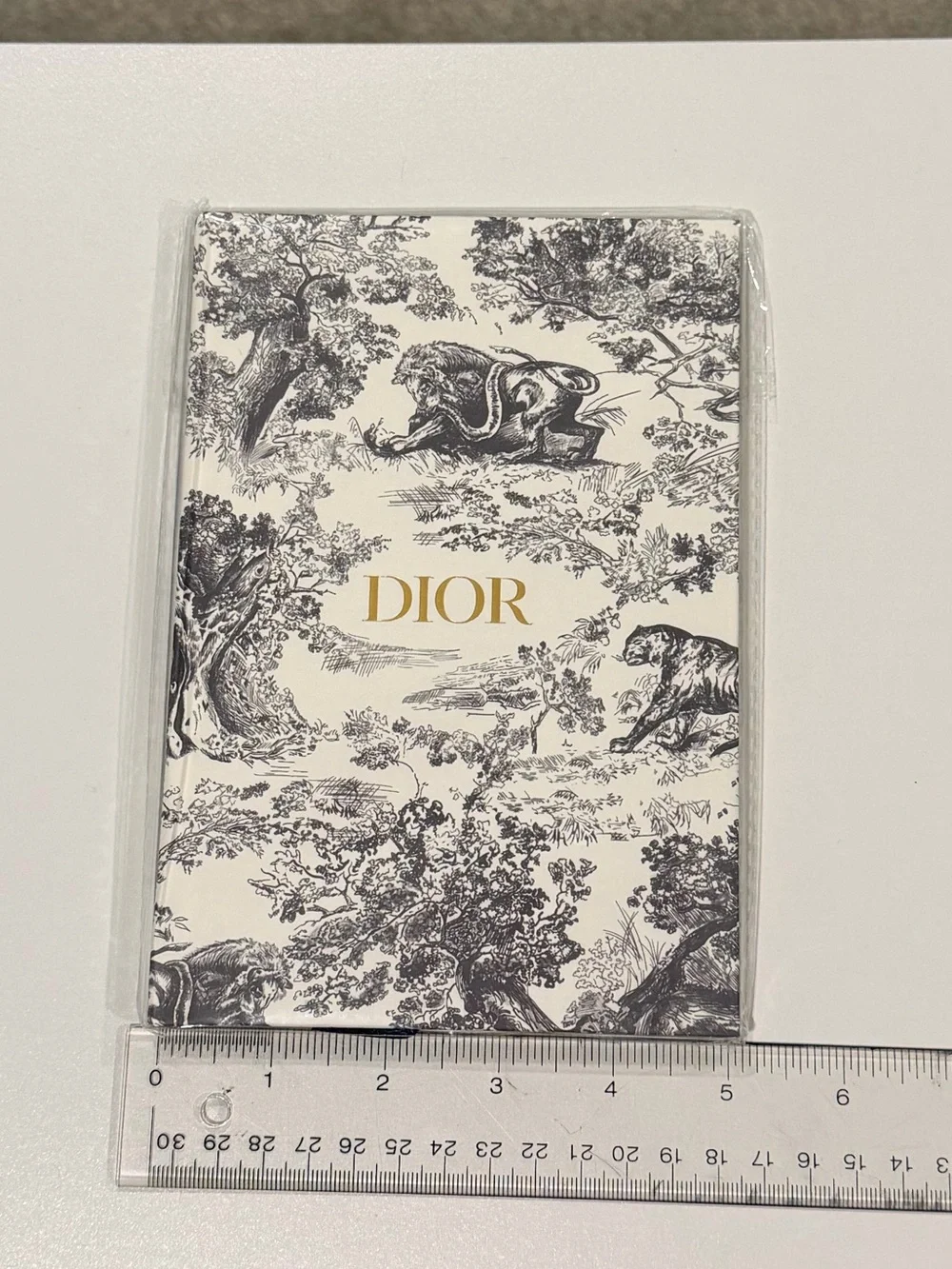 NEW! Never Used Dior Toile de Jouy Notebook | Blue & White w Signature Gold Logo